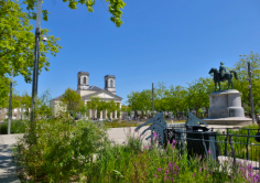 Courtier La Roche-sur-Yon